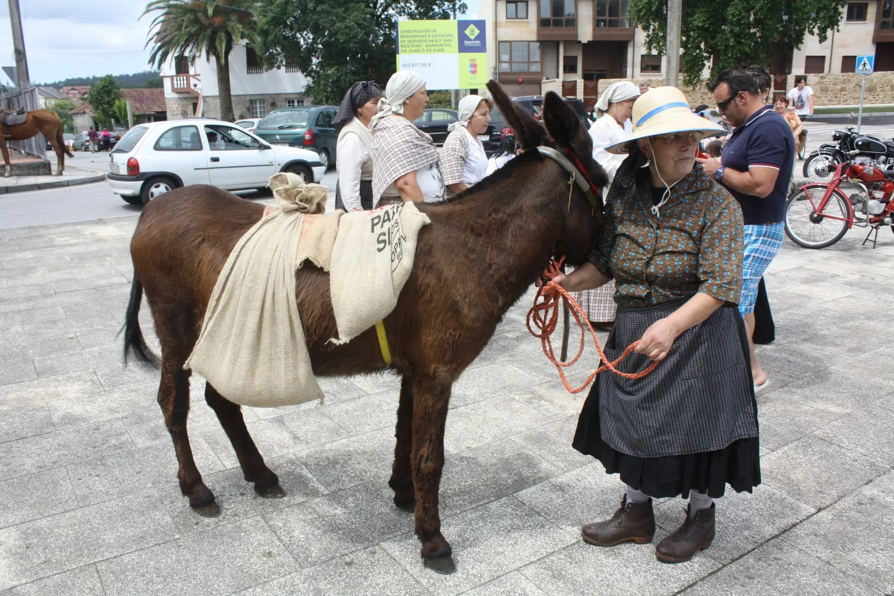 Burro fariñeiro de pelo pardo con un saco de harina sobre el lomo, junto a una mujer vestida con ropa tradicional