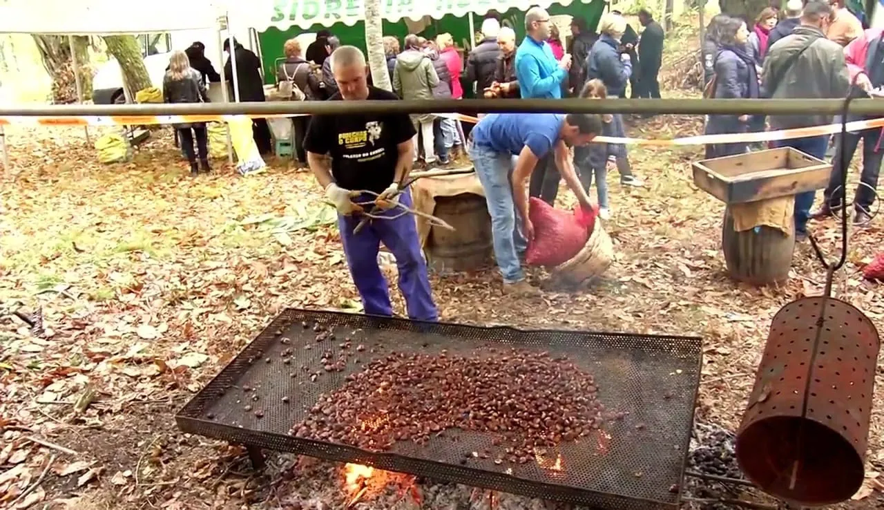 Castañas asándose sobre una chapa perforada al fuego en una fiesta de la castaña al aire libre, con público al fondo
