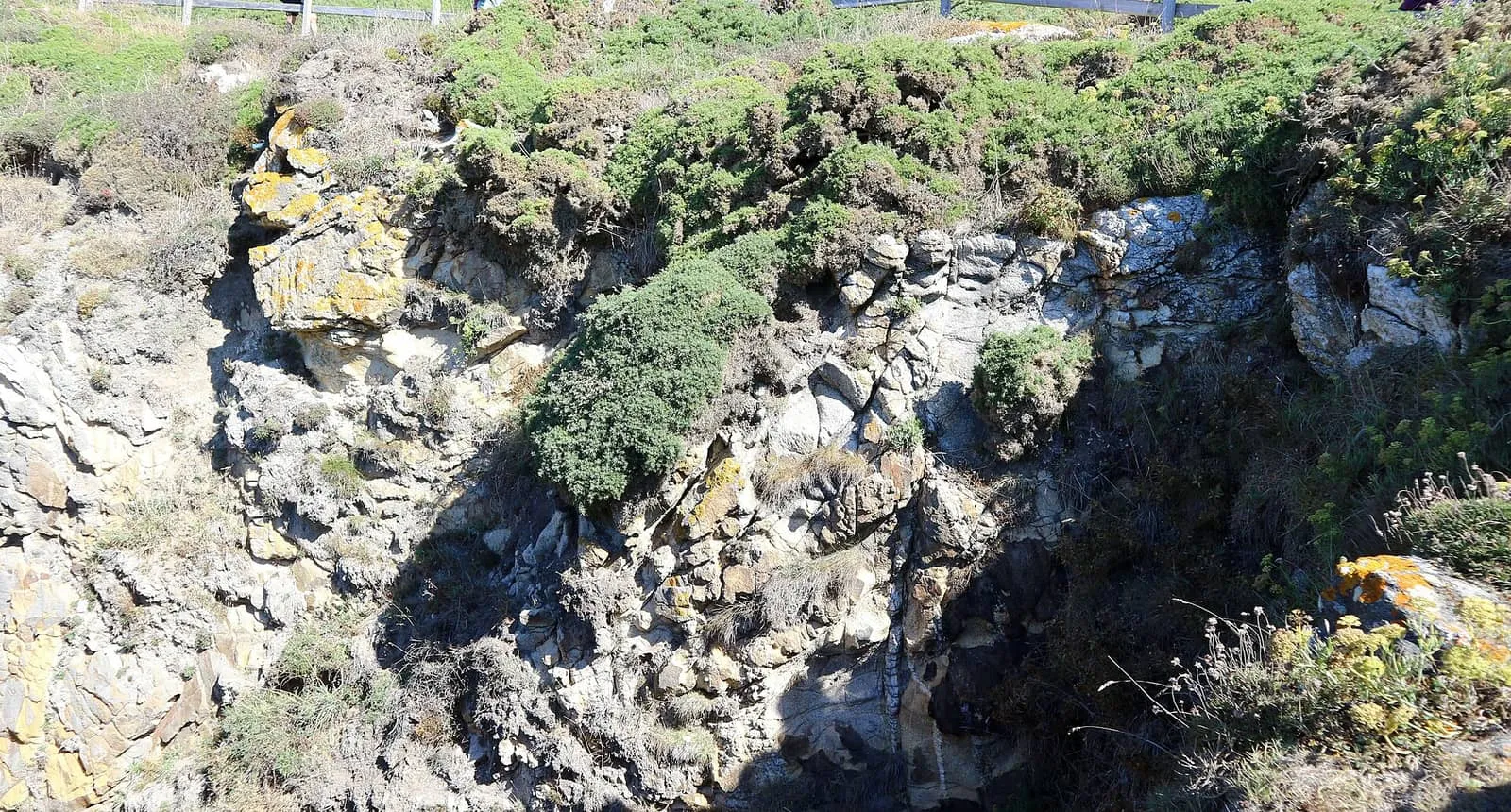 Paredes de roca cubiertas de vegetación en la boca del Buraco do Inferno, en la isla de Ons
