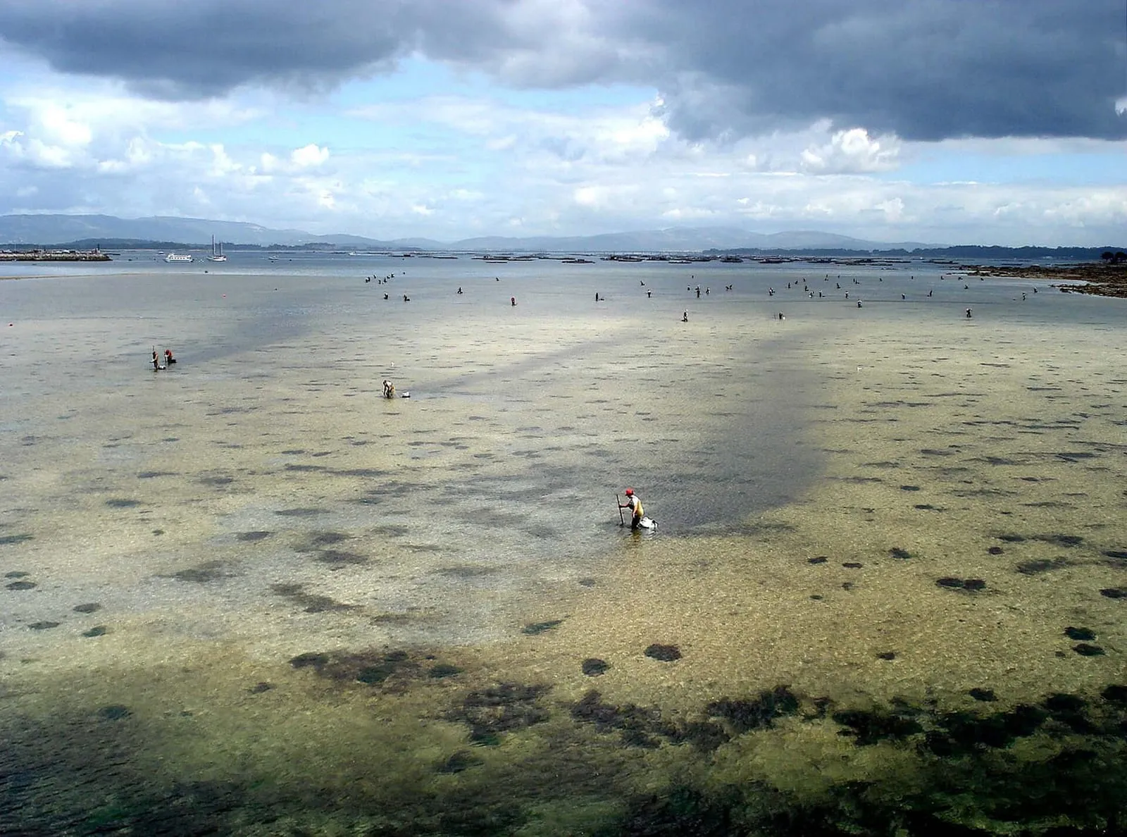 Puerto de O Grove con la isla de A Toxa al fondo
