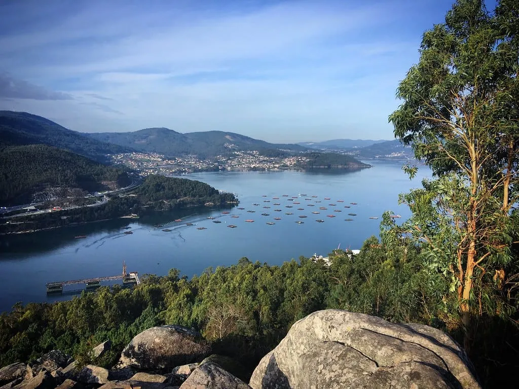 Panorámica de la ensenada de San Simón con viveros de mejillón, vista desde el entorno de Cedeira, Redondela