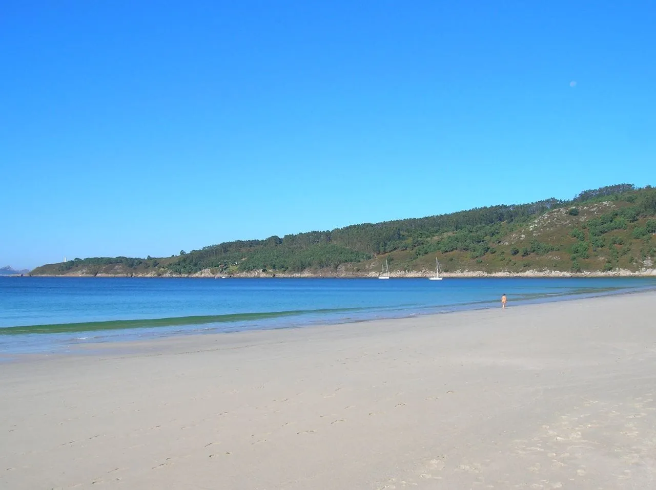 Playa de Barra con el pinar sobre la arena y el mar en calma