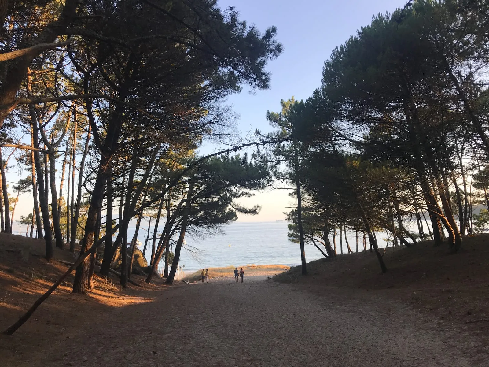Praia de Barra vista entre los pinos del arenal de Cangas