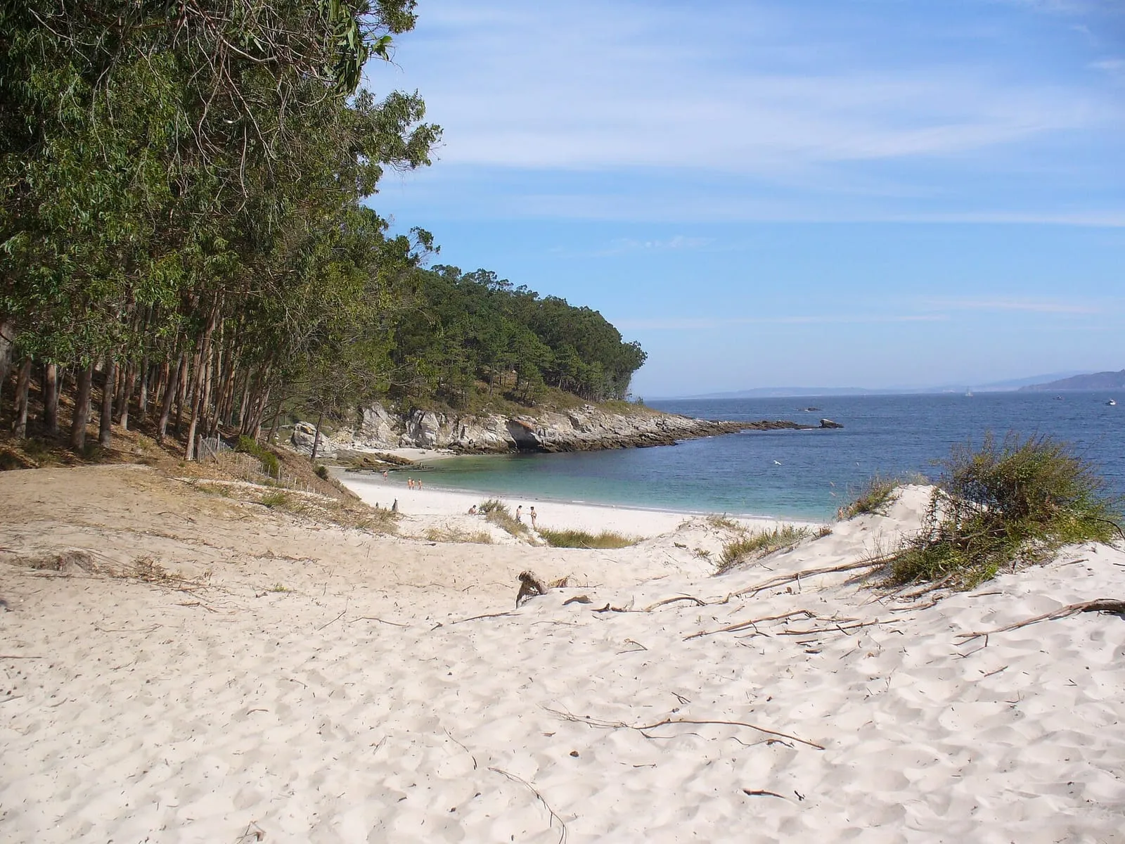 Arena blanca y pinos en la playa de Figueiras, en las Islas Cíes