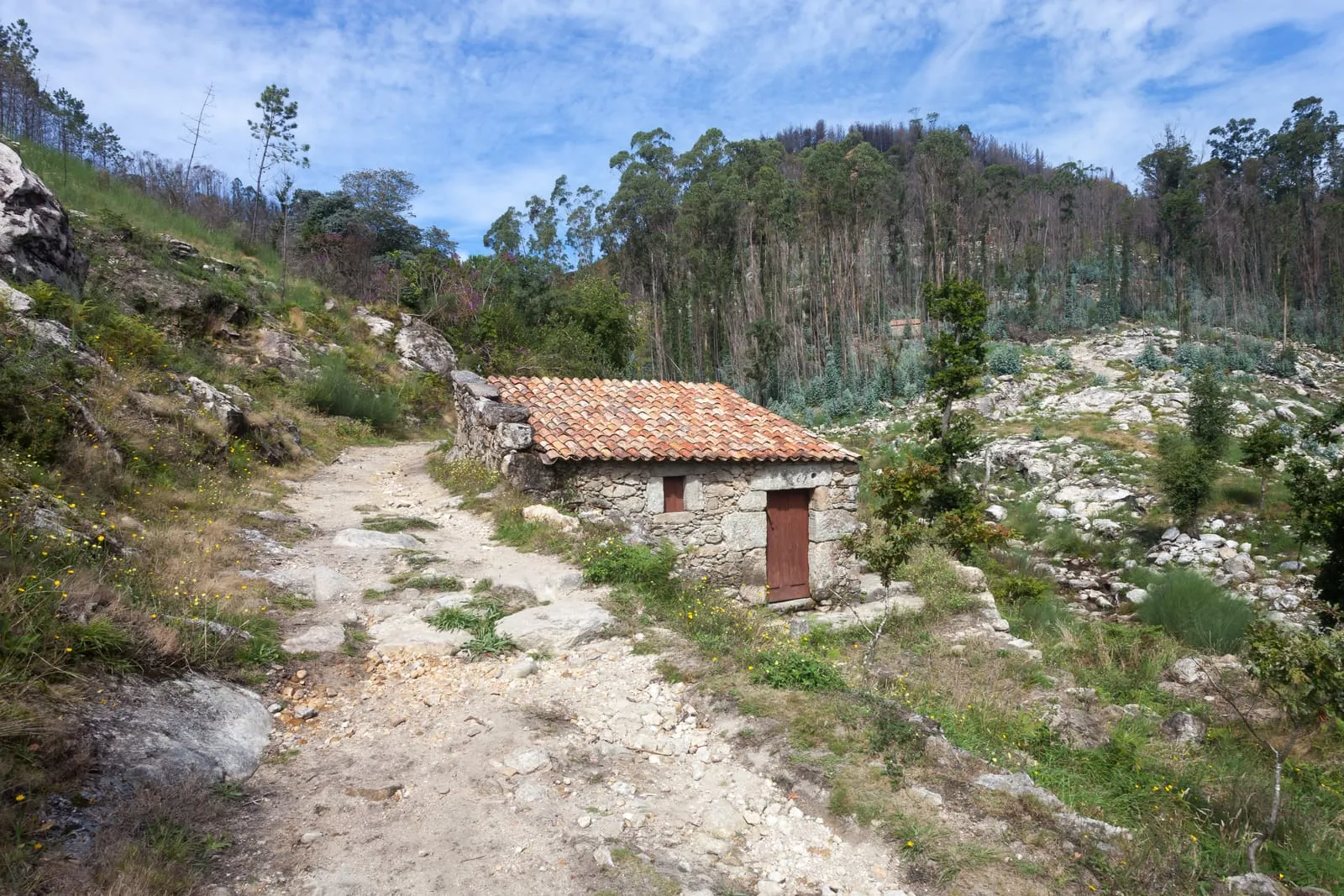 Molinos de agua escalonados en la ladera del Folón, en O Rosal