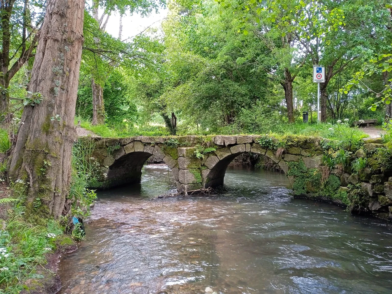 Pontella de piedra de Sárdoma sobre el río Lagares, rodeada de vegetación